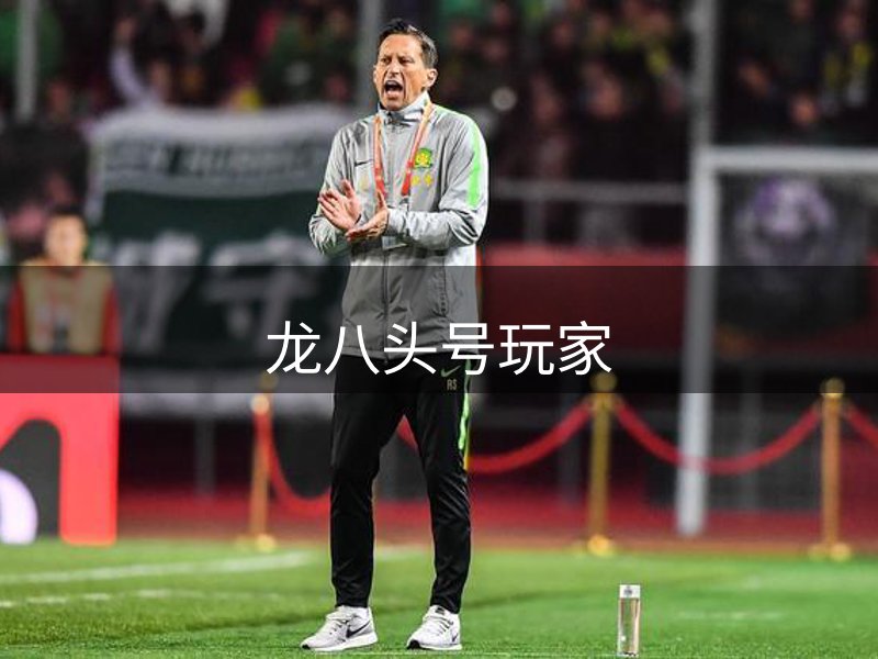 网站概况